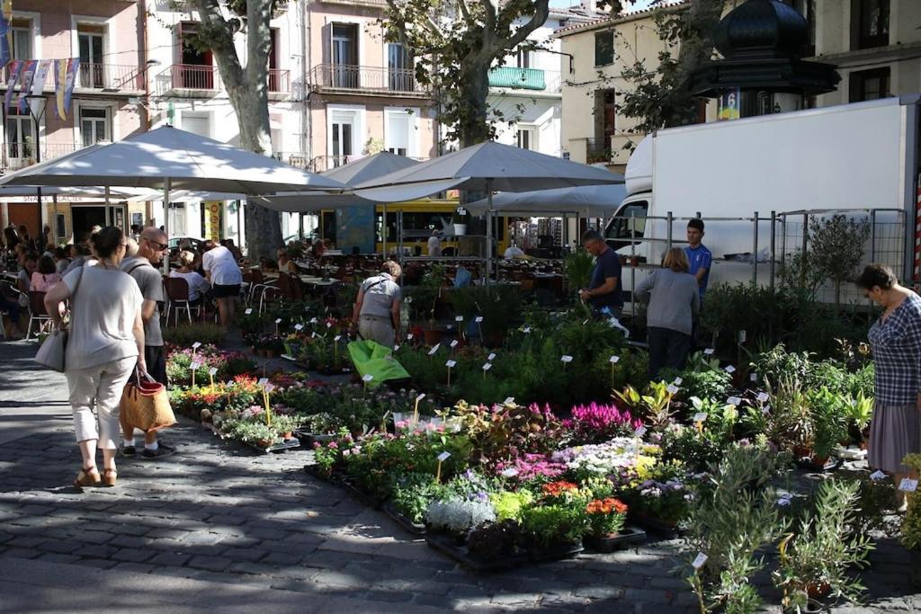 Hidden Gem Au Coeur De Sete & Vue Sur Mont St Clair Sète Exterior foto